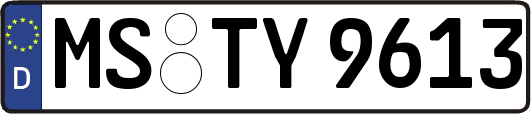 MS-TY9613