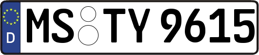 MS-TY9615