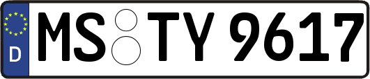 MS-TY9617
