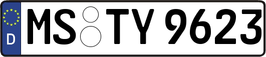 MS-TY9623