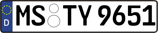 MS-TY9651