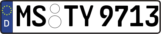 MS-TY9713