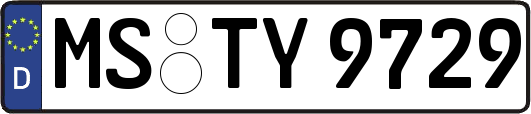 MS-TY9729