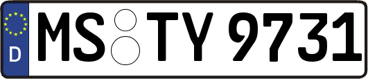 MS-TY9731