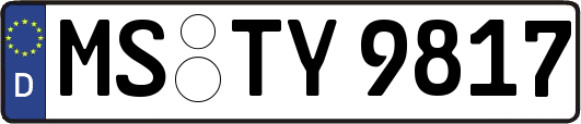 MS-TY9817