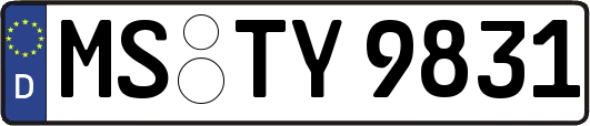 MS-TY9831
