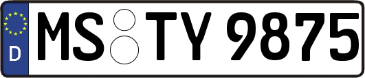 MS-TY9875