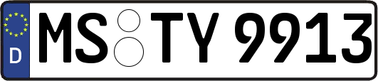 MS-TY9913