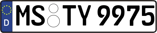 MS-TY9975