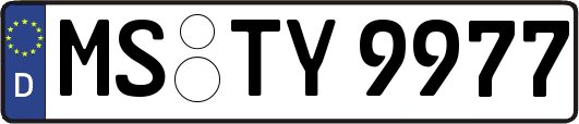 MS-TY9977