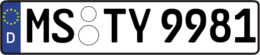 MS-TY9981