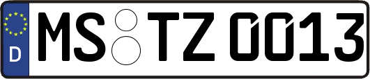 MS-TZ0013