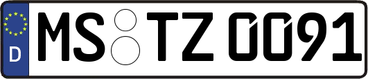 MS-TZ0091