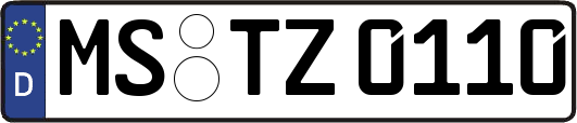 MS-TZ0110