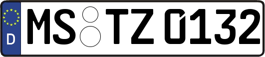 MS-TZ0132