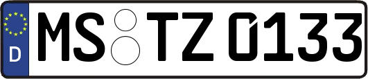 MS-TZ0133