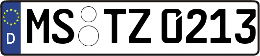 MS-TZ0213