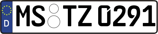 MS-TZ0291