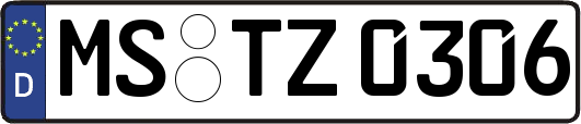 MS-TZ0306