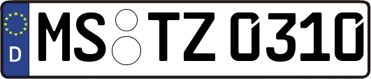 MS-TZ0310
