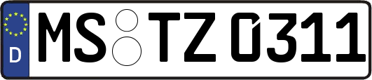 MS-TZ0311
