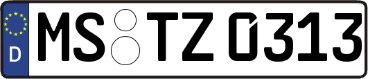 MS-TZ0313