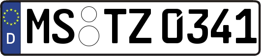 MS-TZ0341