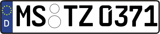 MS-TZ0371