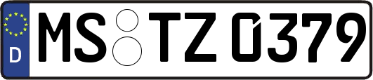 MS-TZ0379