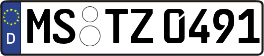 MS-TZ0491