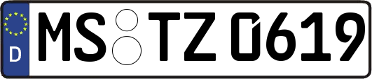 MS-TZ0619