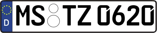 MS-TZ0620