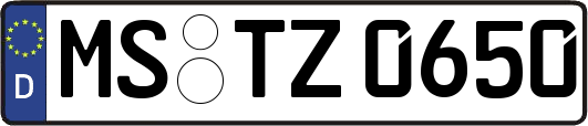 MS-TZ0650