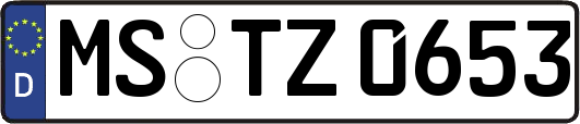 MS-TZ0653