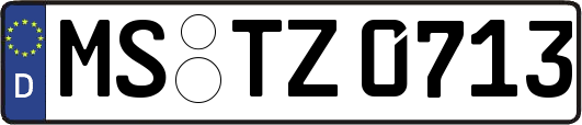 MS-TZ0713