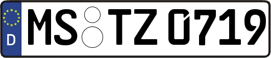 MS-TZ0719