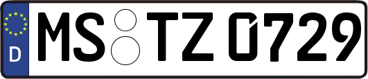 MS-TZ0729
