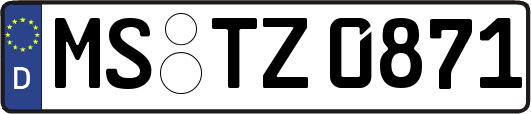 MS-TZ0871