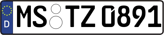 MS-TZ0891