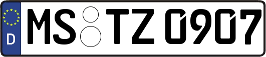 MS-TZ0907