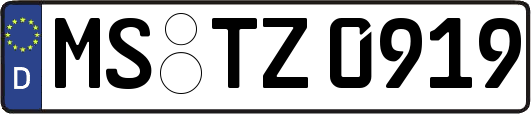 MS-TZ0919