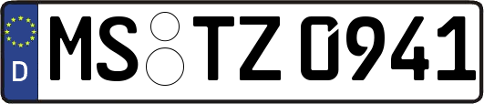 MS-TZ0941