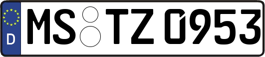 MS-TZ0953