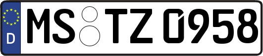 MS-TZ0958