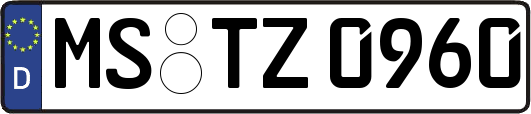 MS-TZ0960