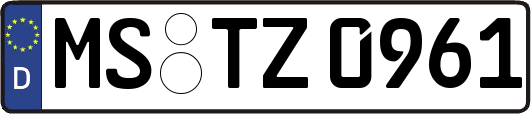 MS-TZ0961