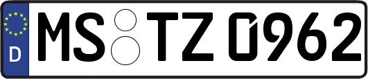 MS-TZ0962