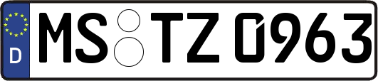 MS-TZ0963