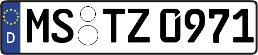 MS-TZ0971
