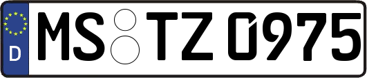MS-TZ0975